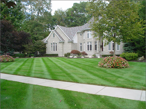 All Terrain Lawn Service, All Terrain Landscaping And Maintenance